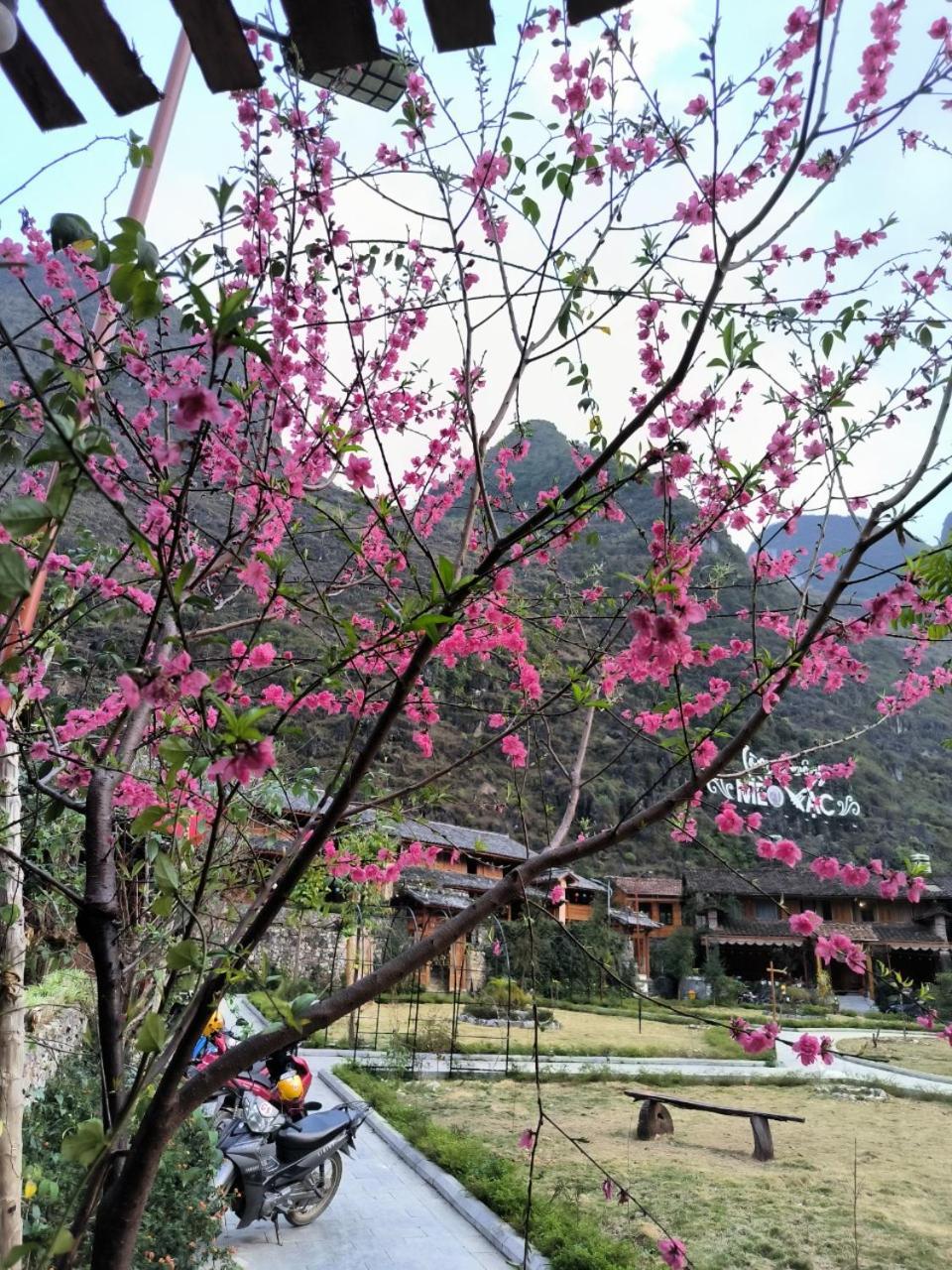 Xua Vu Homestay Meo Vac Exteriér fotografie